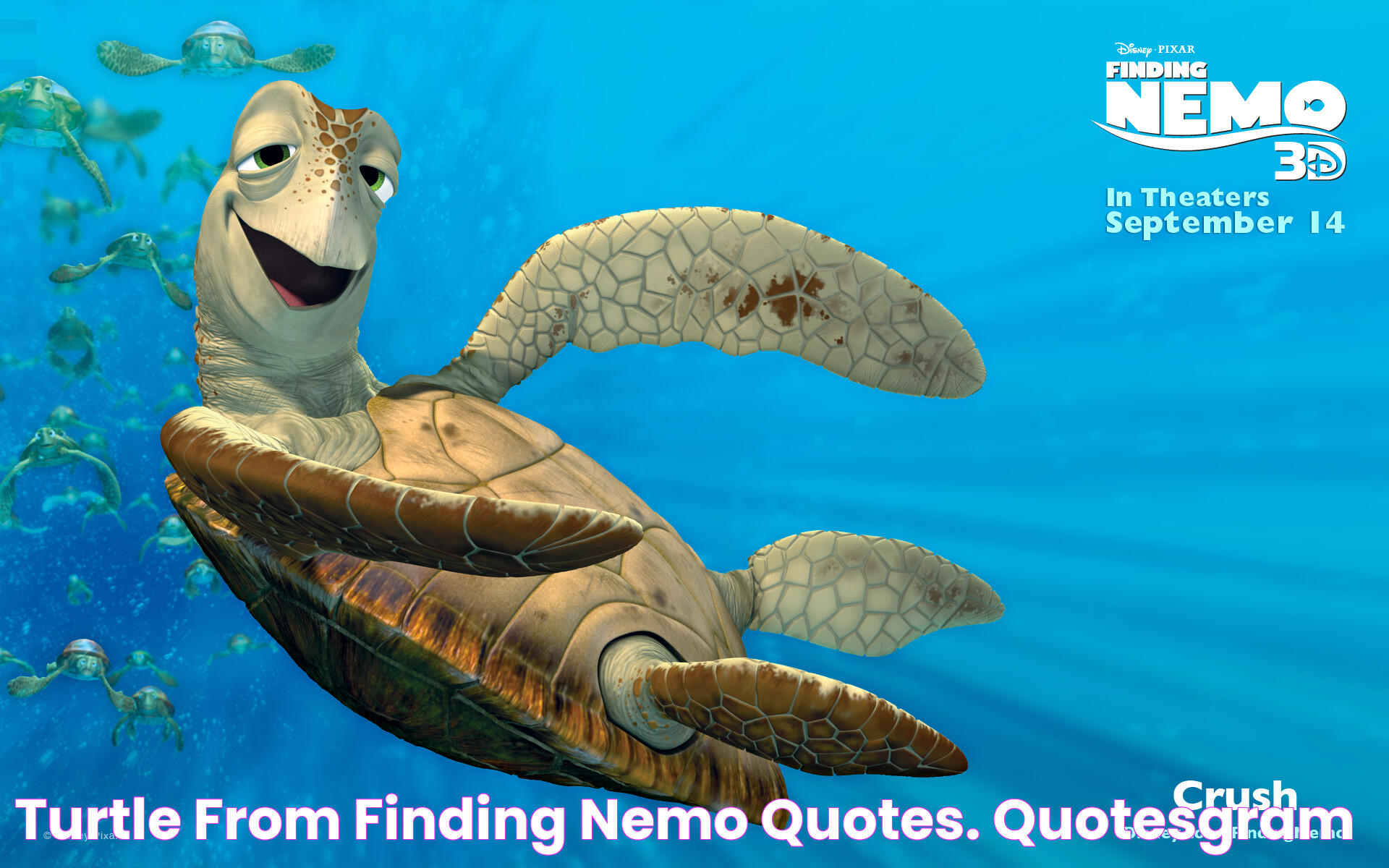 The Intriguing World Of Nemo Turtle: A Deep Dive Into Its Life And Significance